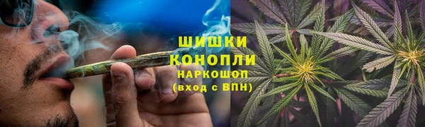 шишки Нижневартовск