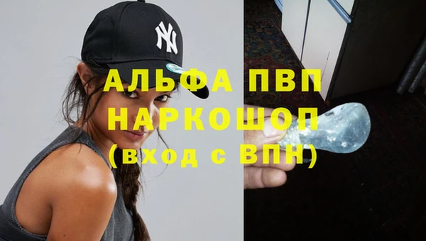 прущие грибы Суровикино