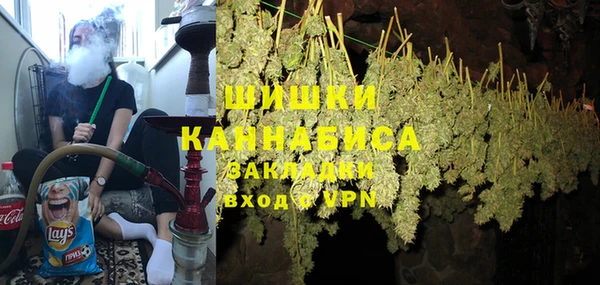 прущие грибы Суровикино