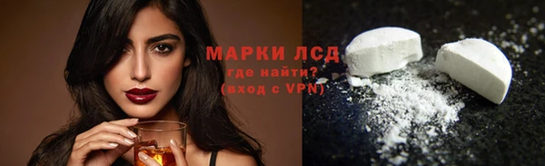 сатива Жердевка